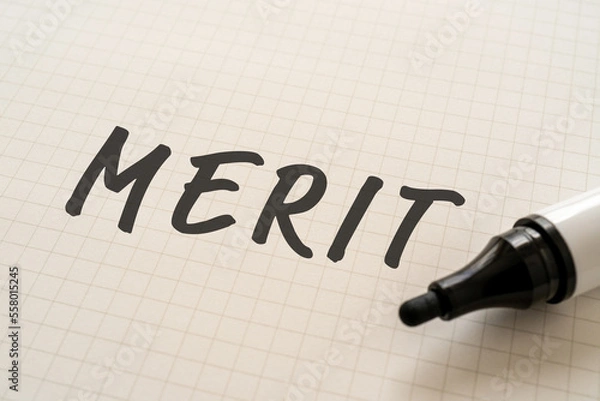 Obraz MERITと書かれたノートとマーカー
