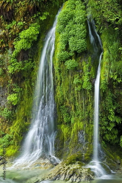 Obraz Salmon Creek Falls, Oregon.