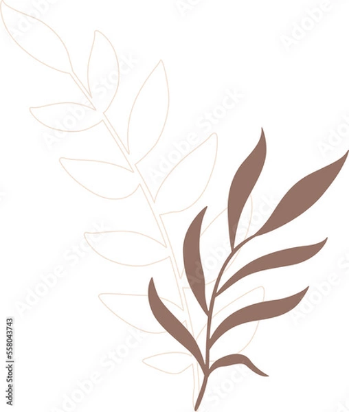 Fototapeta aesthetic leaf