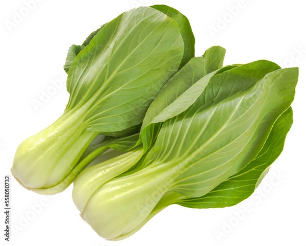 Fototapeta Fresh Chinese cabbage.