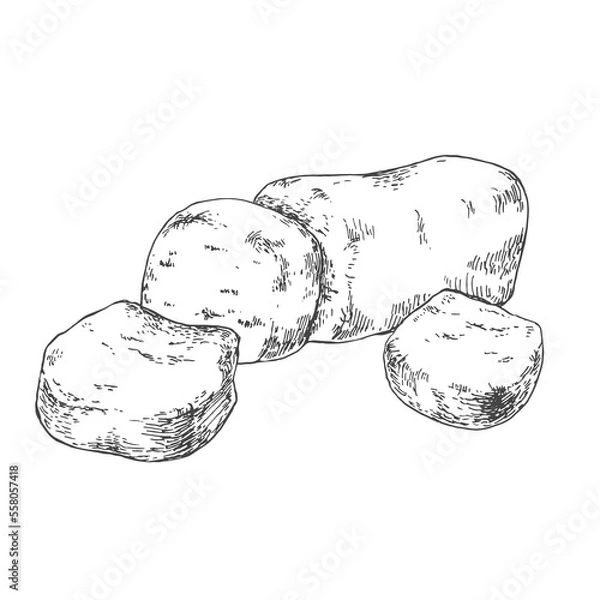 Obraz Hand drawn vector marzipan illustration. German traditional almond flour and sugar powder dessert. Nut brick vintage template for menu, design, ad