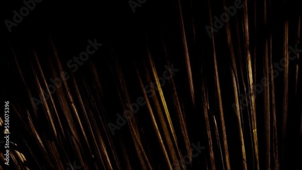 Obraz fireworks in the sky