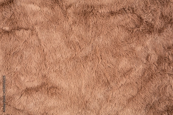 Obraz Brown fur background