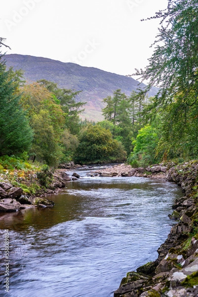 Obraz Scottish Landscape in Applegate