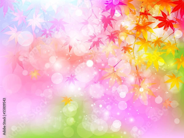 Fototapeta もみじ　紅葉　背景