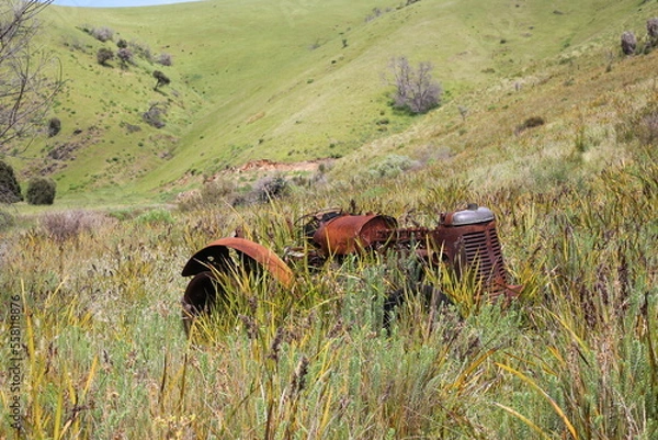 Obraz horse in the mountains