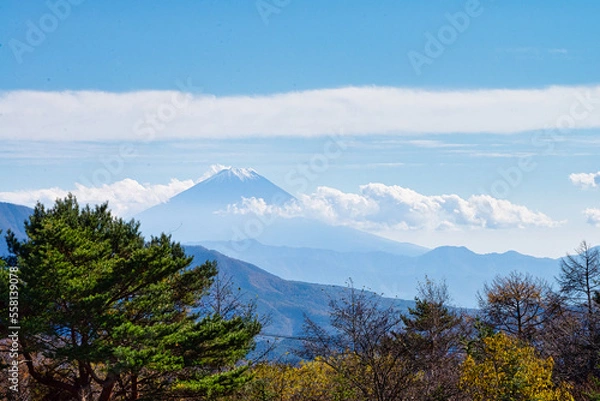 Obraz mount hood state