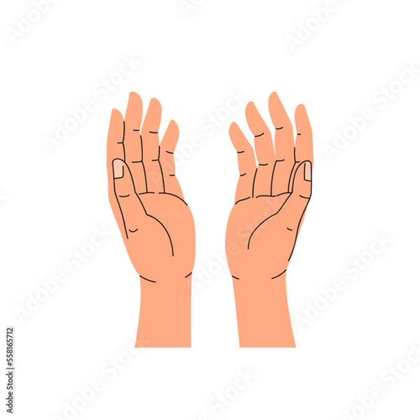 Fototapeta Two open hands with palms up. Top view, trendy flat vector illustration isolated on white background.