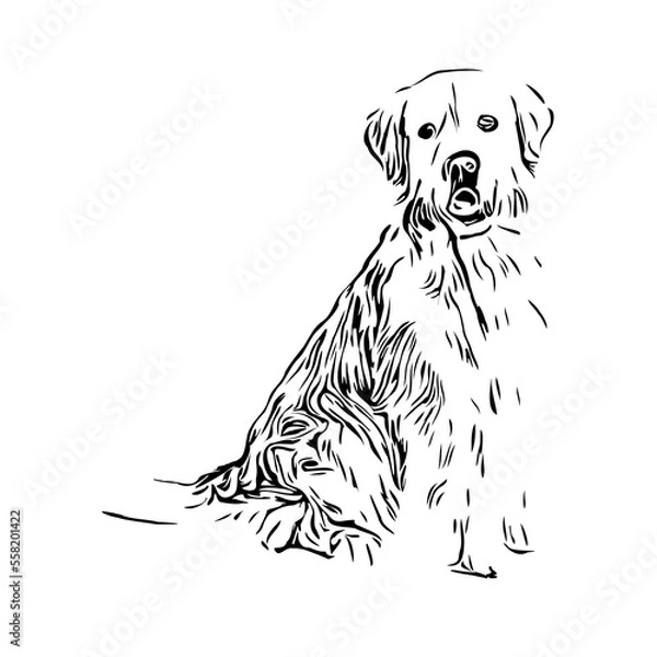 Obraz black and white drawing sketch of a dog with a transparent background for learning to color