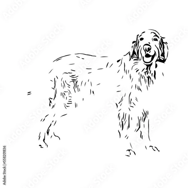 Obraz black and white drawing sketch of a dog with a transparent background for learning to color
