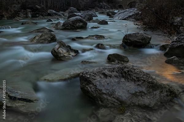 Obraz river in the forest