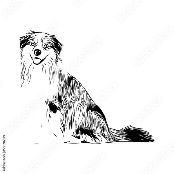 Obraz black and white drawing sketch of a dog with a transparent background for learning to color