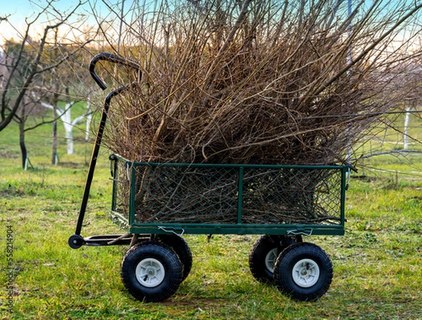 Obraz Wheelbarrow with firewood.