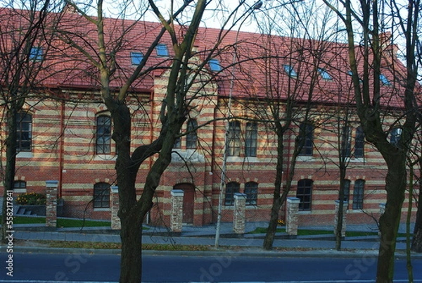 Obraz trees in the park