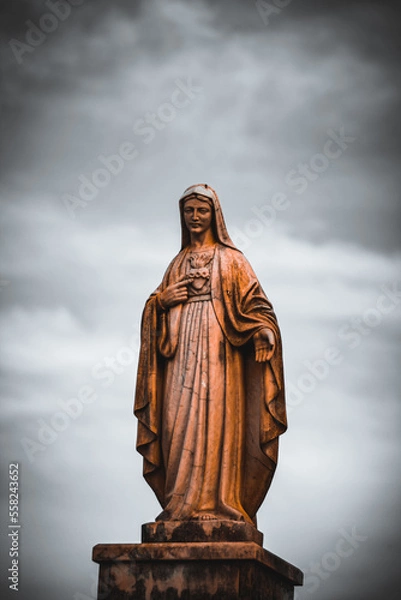 Fototapeta virgin mary held in her breast the flaming heart