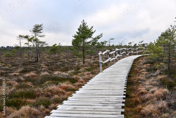 Obraz Das Schwarze Moor in der Bayrischen Rhön