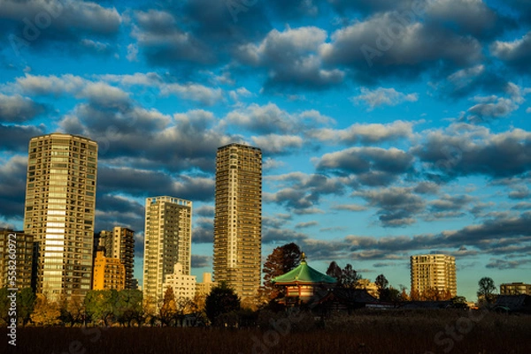 Obraz 朝日の当たるタワマン