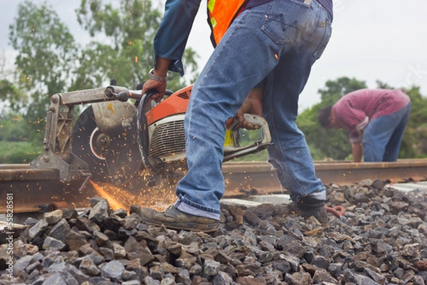 Obraz Workers were cutting tracks for maintenance.