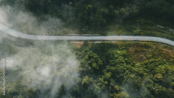 Fototapeta Road through the green rainforest. Aerial top view forest on misty fog morning. Ecosystem and healthy environment concept and background.