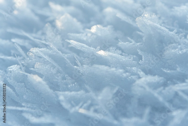 Fototapeta Thin crust of ice over snow, hoarfrost. Texture or background