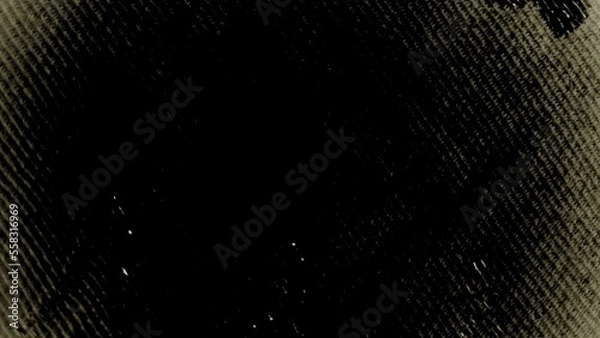 Obraz black and white