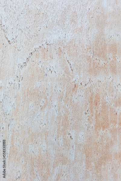 Fototapeta Fondo textura eucalyptus para carteles o insertar texto