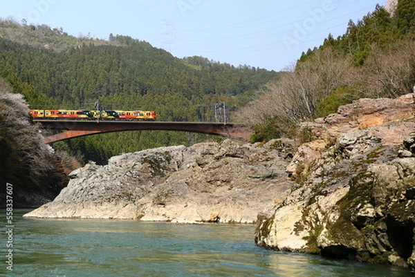 Fototapeta 保津川峡谷