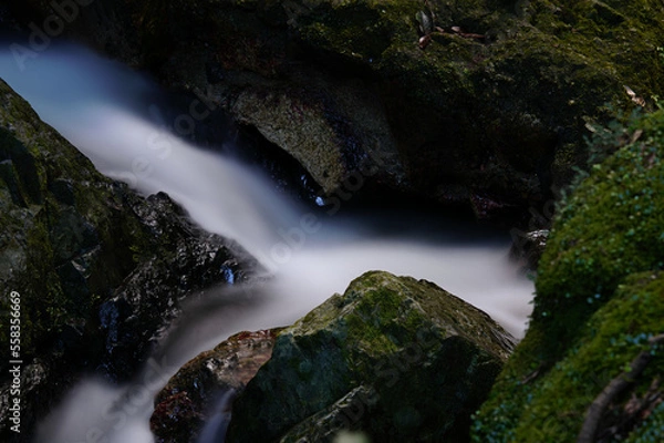 Obraz 自然の中を流れる川の清流