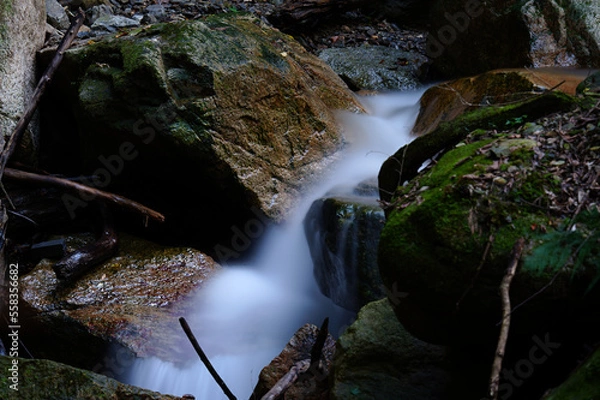 Obraz 自然の中を流れる川の清流と小さな滝
