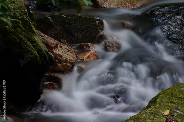 Obraz 自然の中を流れる川の清流