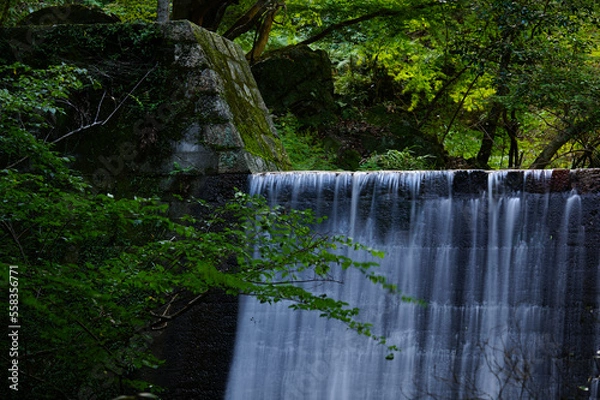 Obraz 自然の中を流れる滝
