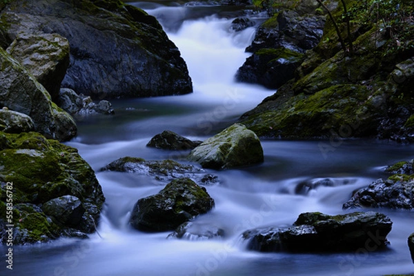 Obraz 自然の中を流れる川の清流