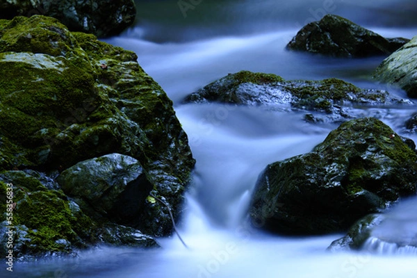Obraz 自然の中を流れる川の清流