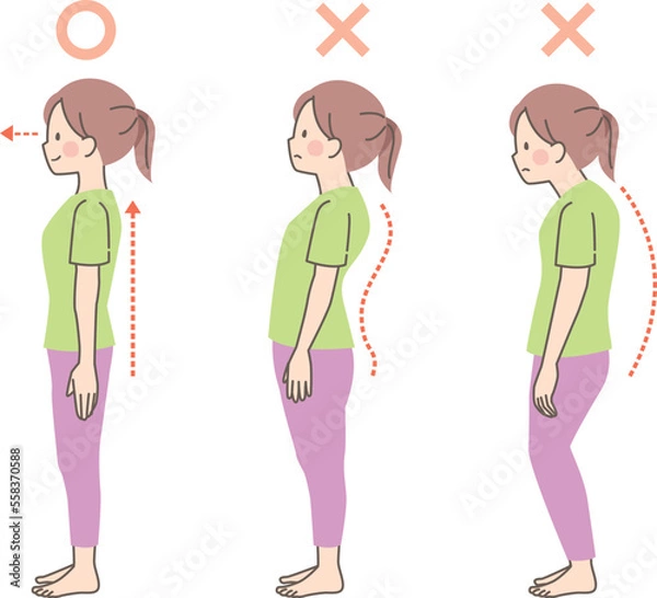 Fototapeta 女性の良い姿勢と悪い姿勢の見本