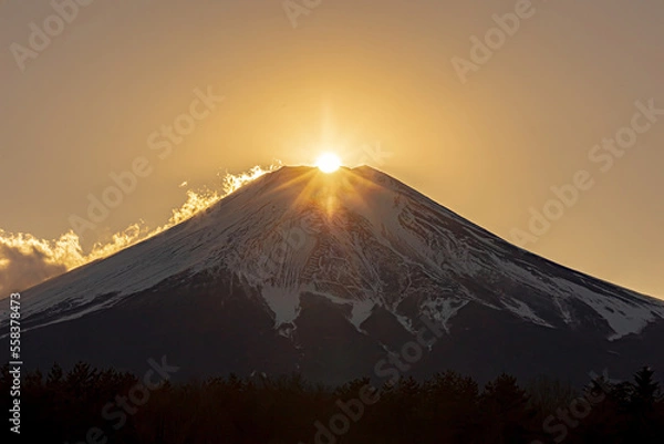 Fototapeta 山中湖花の都公園から見たダイヤモンド富士