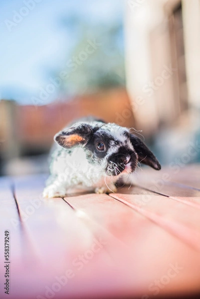 Obraz 20230104_MG_0264