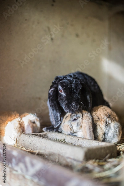 Obraz 20230104_MG_0338