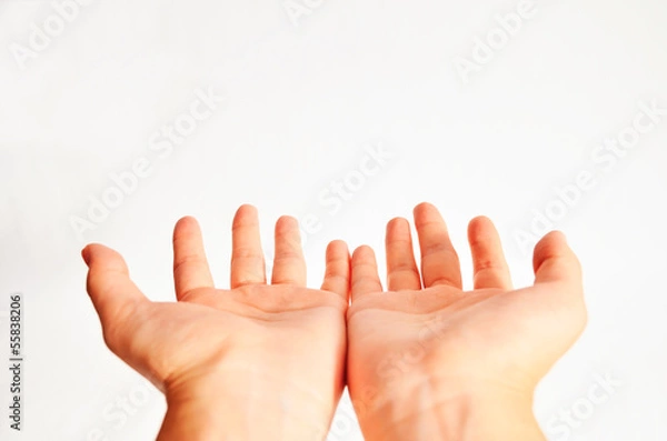 Fototapeta 手のひら