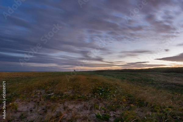 Fototapeta sunset over the field