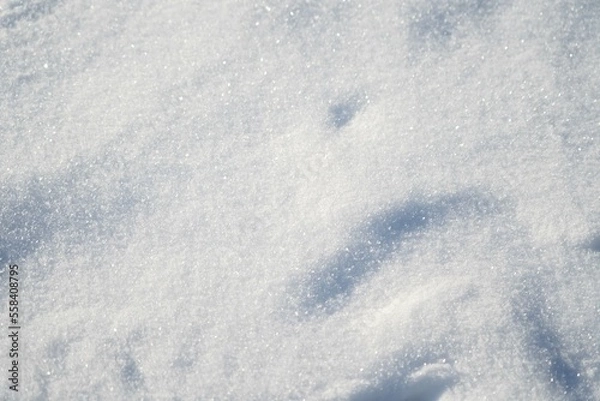 Fototapeta 추운 겨울 하얀 눈이 내린 풍경