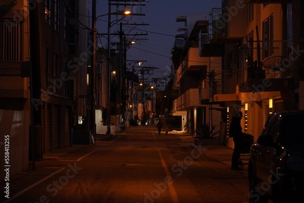 Fototapeta 《ロサンゼルス》ベニスビーチ付近の夜道