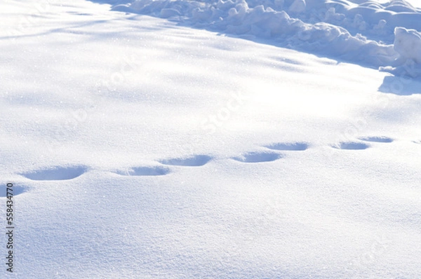 Fototapeta Natural background. Footprints in the snow on a bright frosty day