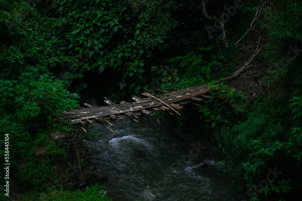 Obraz view of the river with the water flowing fast after the rain fell in the afternoon
