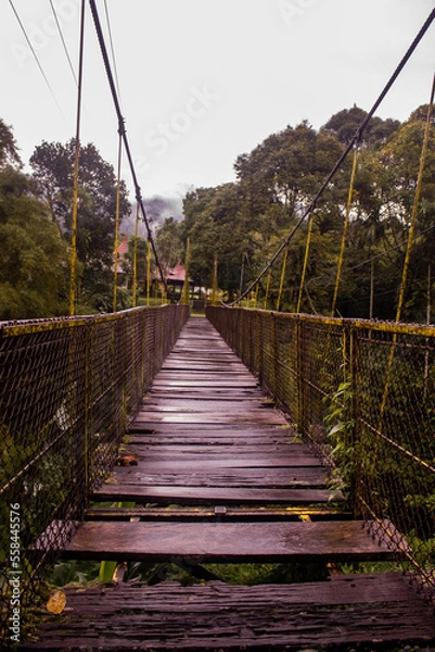 Obraz Walk on an old abandoned bridge during the day