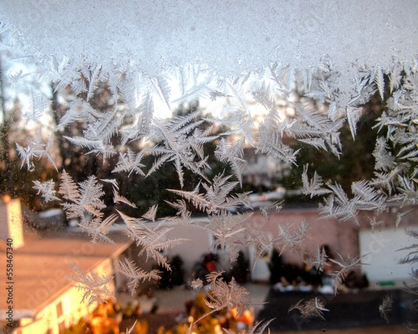 Obraz frost crystals on window