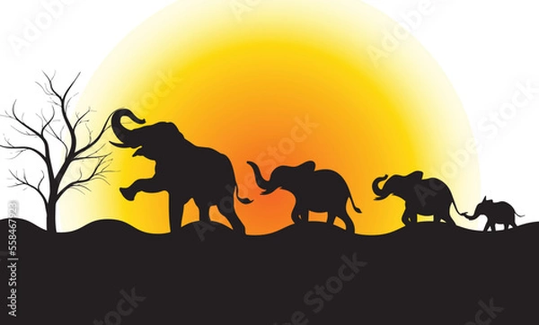 Fototapeta silhouette of elephant family in desert