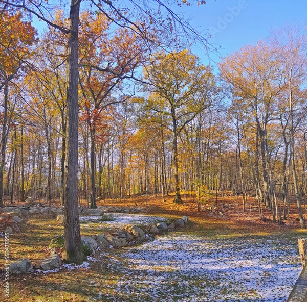 Obraz Autumn Snowfall