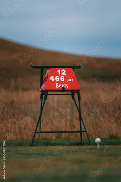 Obraz Golf tee box