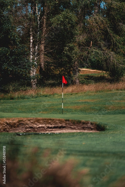 Obraz Golf hole in forest