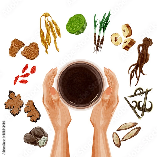 Obraz 女性の悩みに役立つ漢方生薬の手描き水彩風イラスト